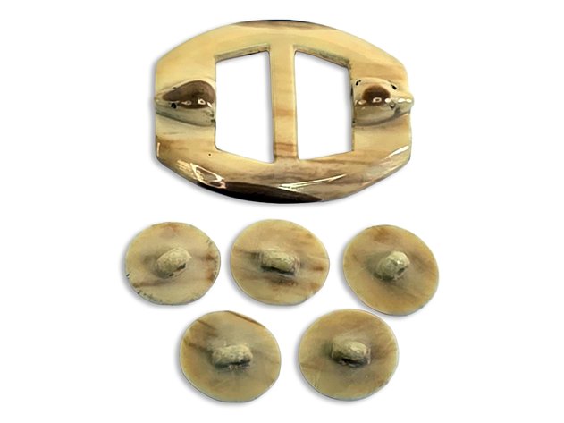 Walrus Ivory Belt Buckle & Buttons