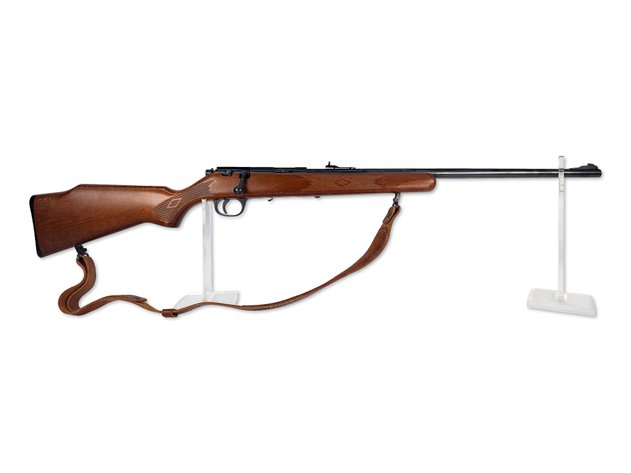 Marlin 25N .22 LR Bolt-Action Rifle