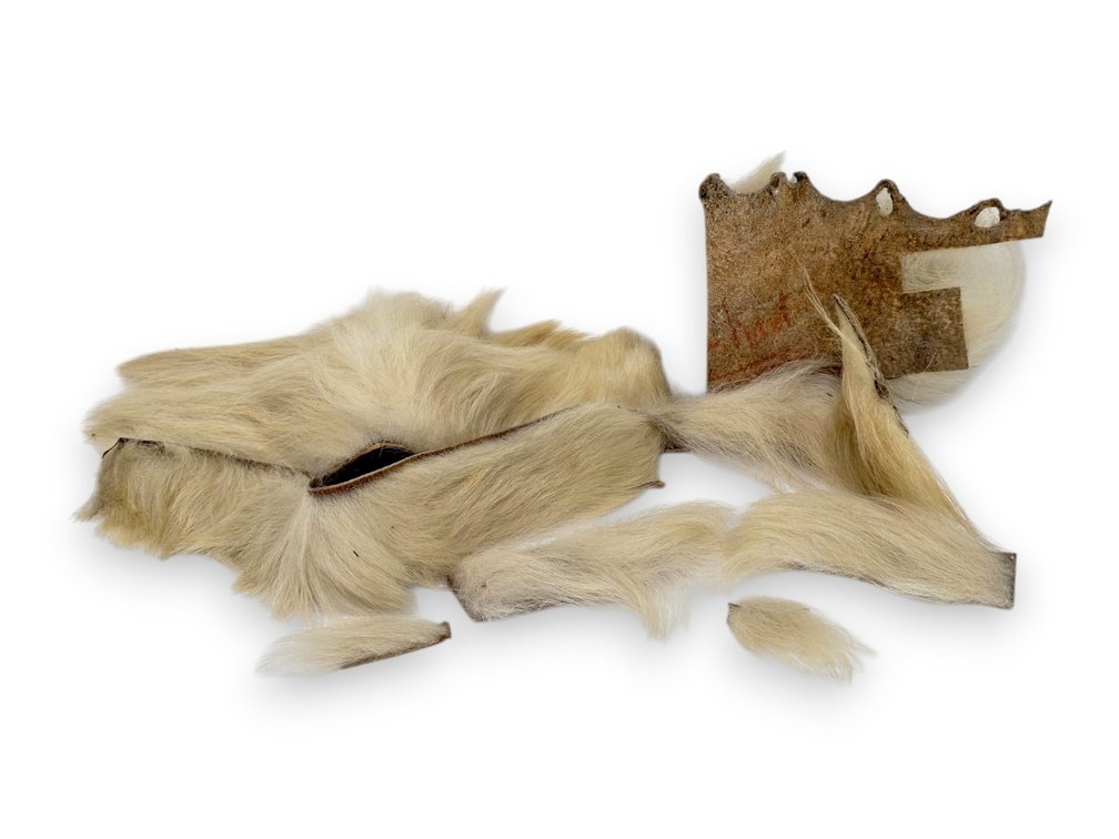 Polar Bear Fur Hide Scraps