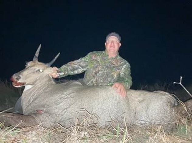 One Person, 3 Day Texas Nilgai Big Game Hunt
