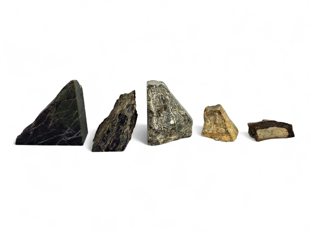 Five Stone & Possible Fossil Bone Specimens