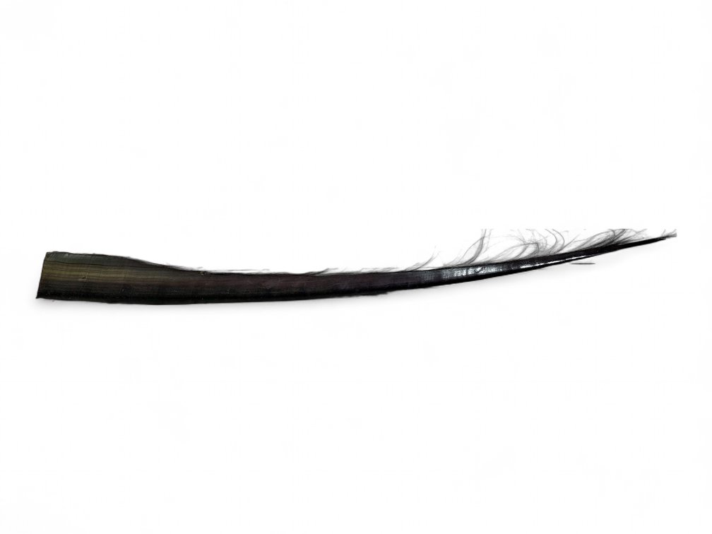95-Inch Baleen Plate