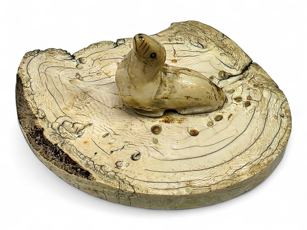 Walrus Ivory Seal Paperweight on Mineralized Tusk Base