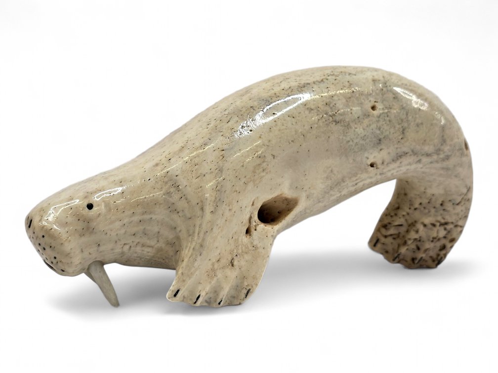 Walrus Jawbone Walrus Carving