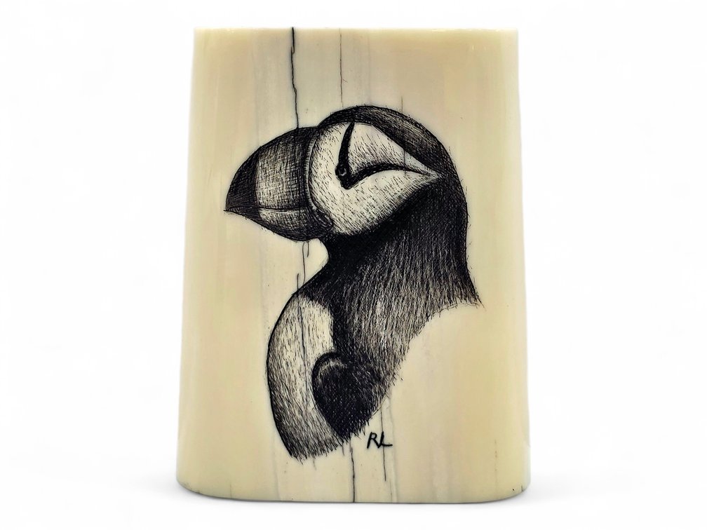 Scrimshaw Puffin Portrait on Walrus Ivory