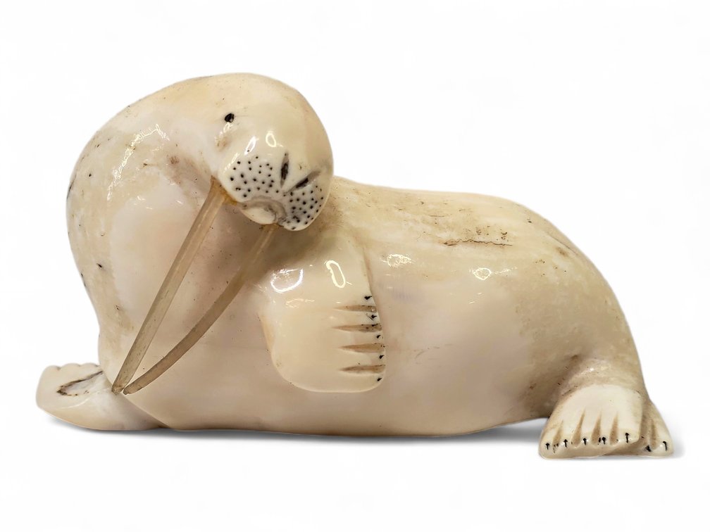Billy Soonagrook Walrus Ivory Walrus with Whisker Tusks