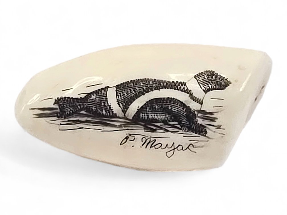 Peter Mayac Signed Ribbon Seal Scrimshaw on Walrus Tooth