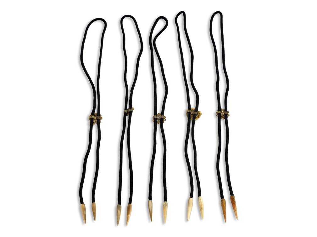 Five Bolo Ties with Walrus Ivory Tips & Missing Slide Ornaments