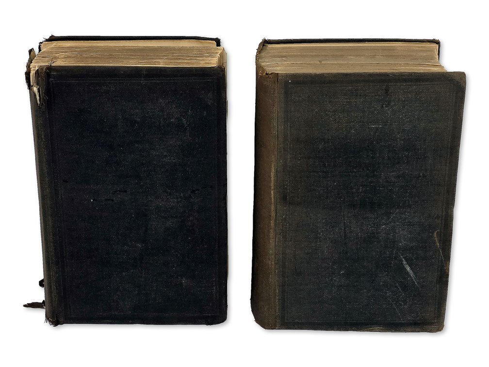 Hayden’s 1883 Wyoming & Idaho Geological Survey Report, Parts I & II