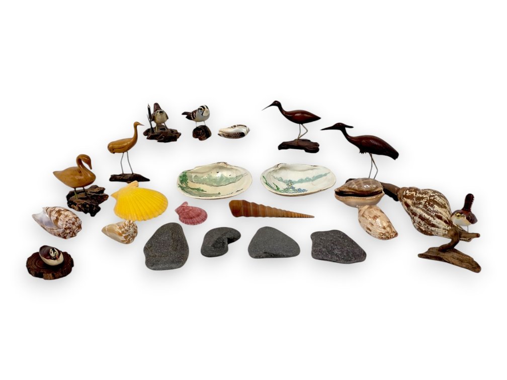 Seashells, Painted Shells, Stone Specimens & Bird Miniatures