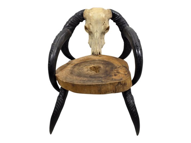 Sculptural Water Buffalo Horn & Skull Accent Chair with Live-Edge Wood Seat