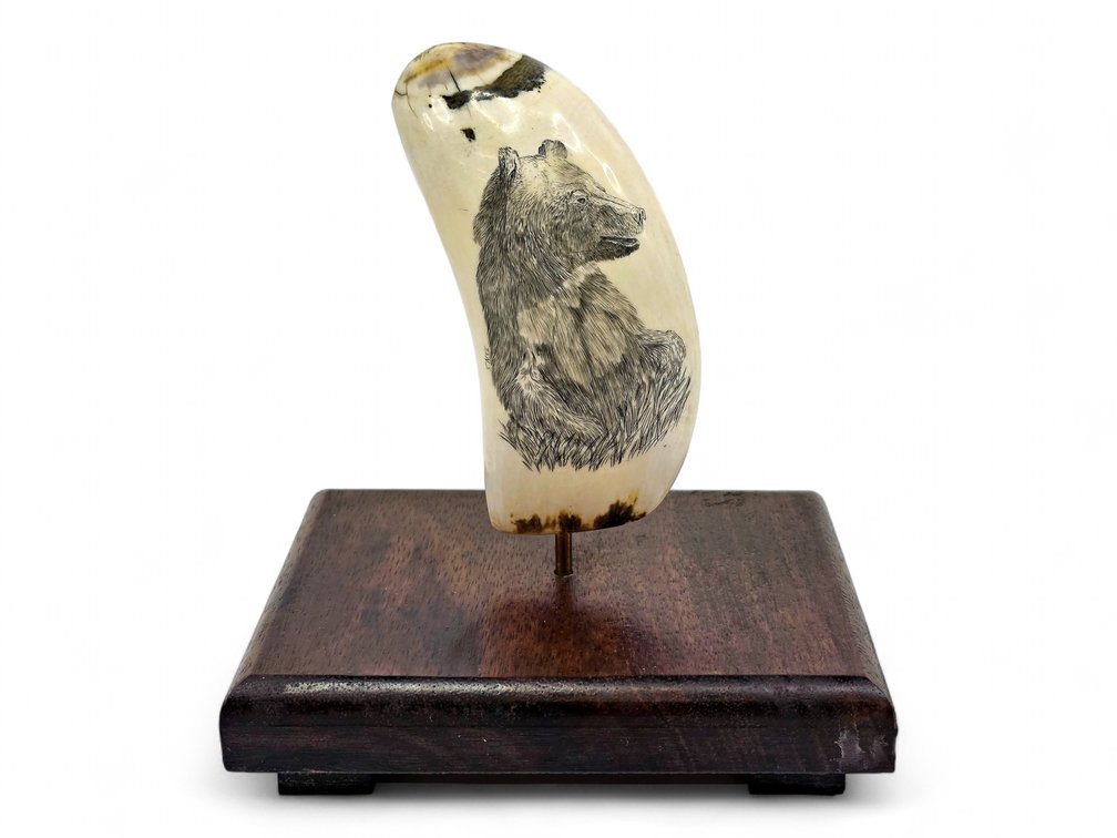 D. Noel Smith Bear Scrimshaw on Whale’s Tooth with Wood Display Base