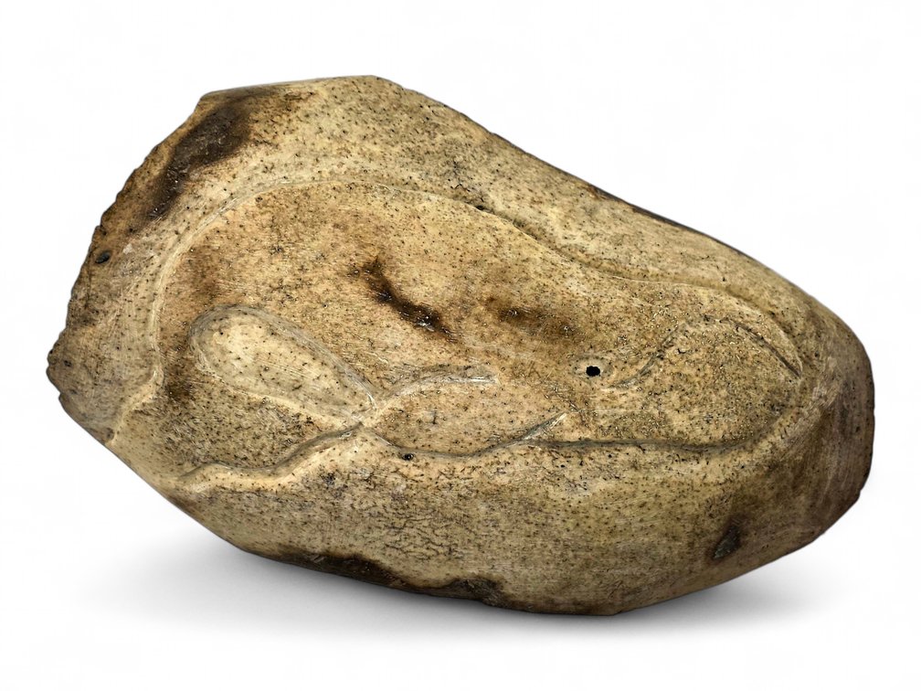 Carved Bone Whale Relief, Attributed to Tim Henry