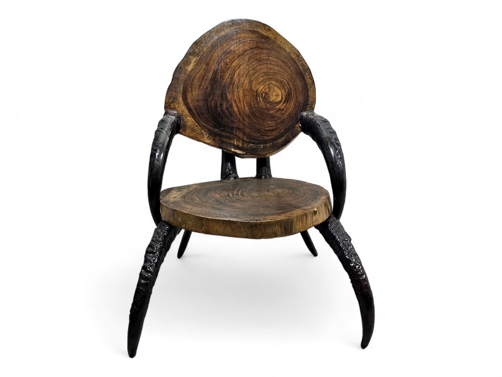 Water Buffalo Horn Accent Chair with Wood Slab Seat & Back