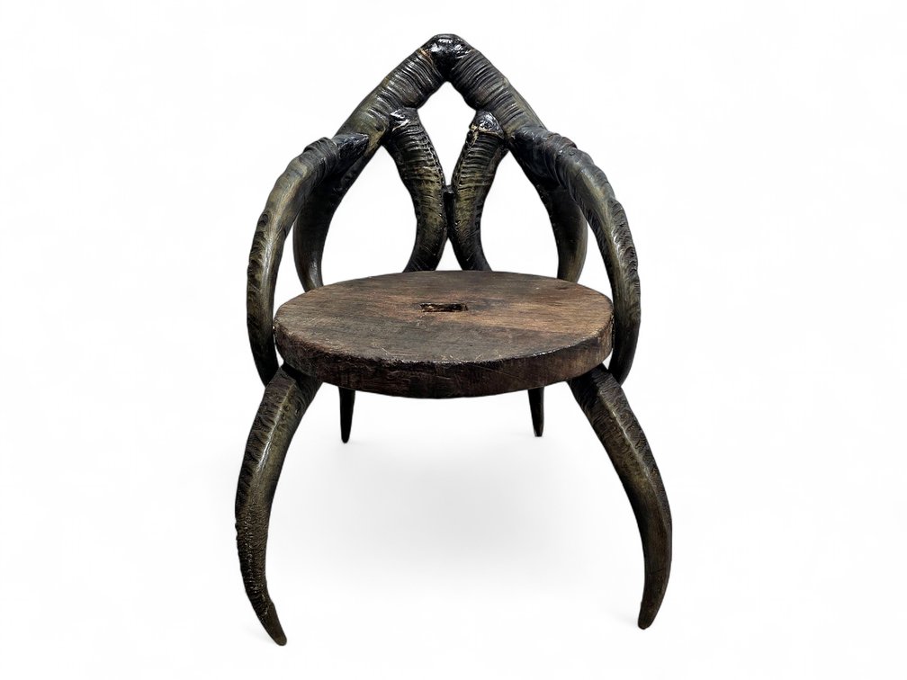 Water Buffalo Horn Accent Chair with Wood Slab Seat & Horn Back