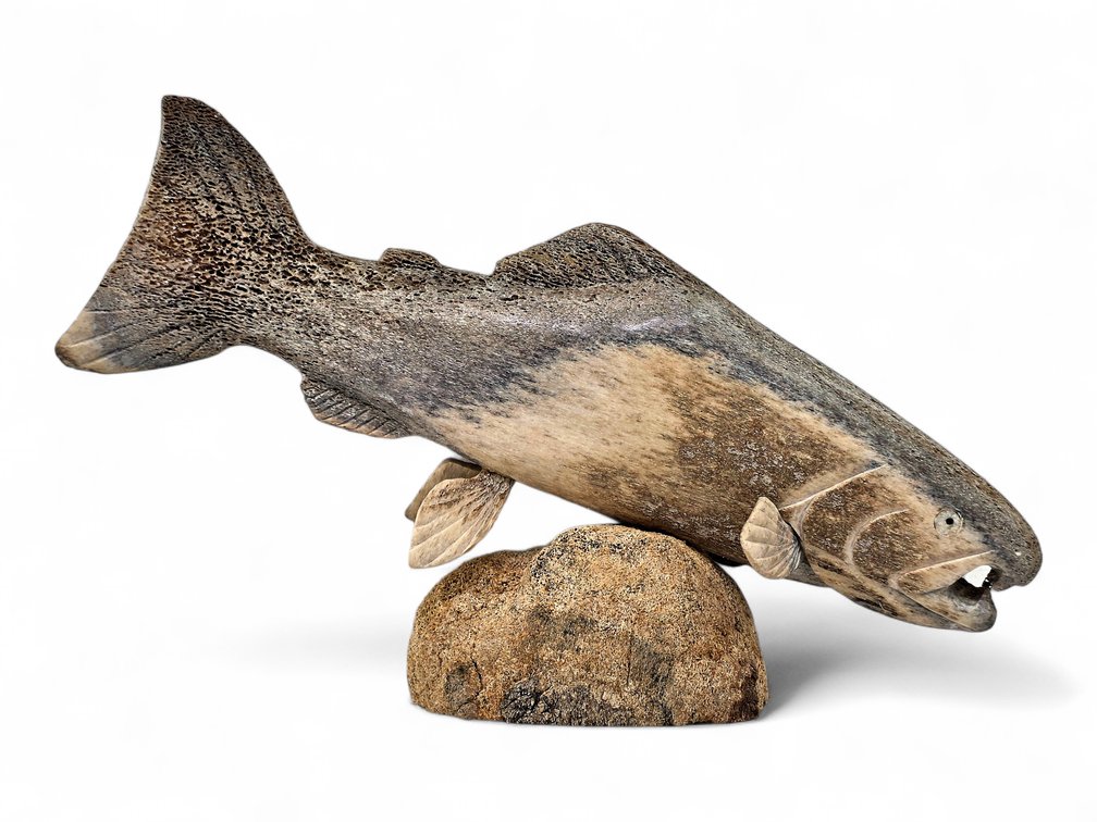 Mineralized Whalebone Salmon on Matching Base, 13.75 Inches Long