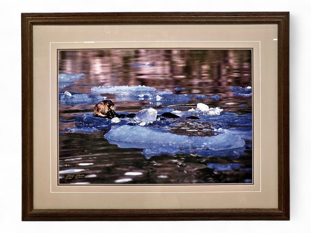 Johnny Johnson "The Ice Otter", Signed Photographic Print, ©1998