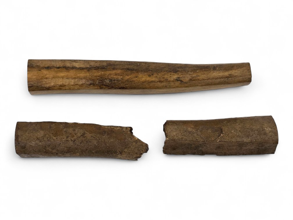 Three Bone or Antler Specimens