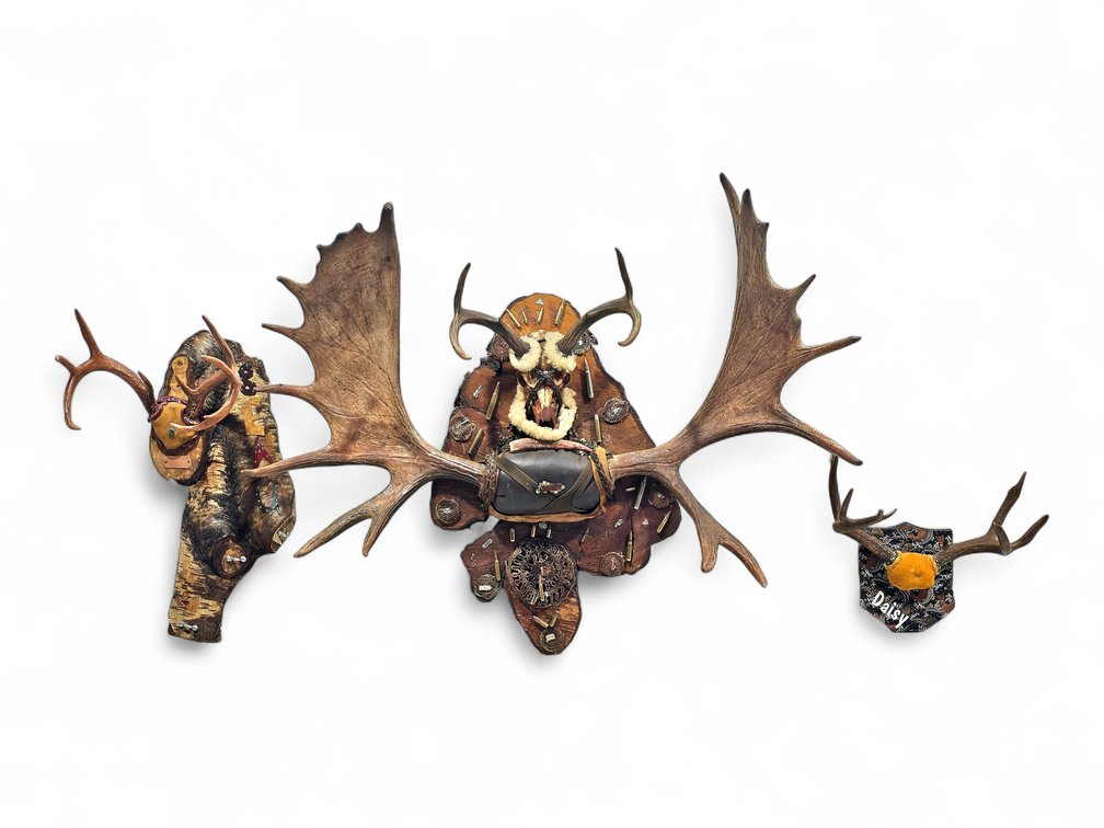 Three Antler Assemblages — Rocky, Daisy & Beau, with 1964 Dated Tag