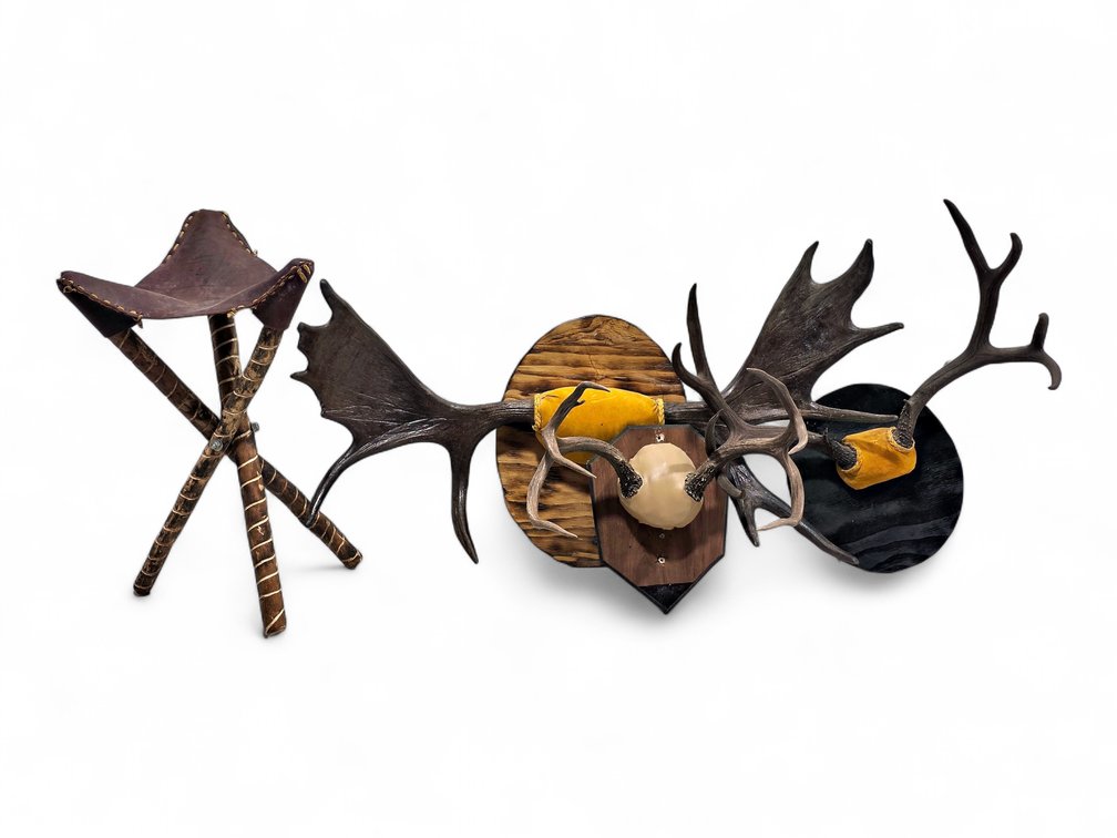 Moose & Two Deer Antler Mounts with Leather-Seat Folding Tripod Stool