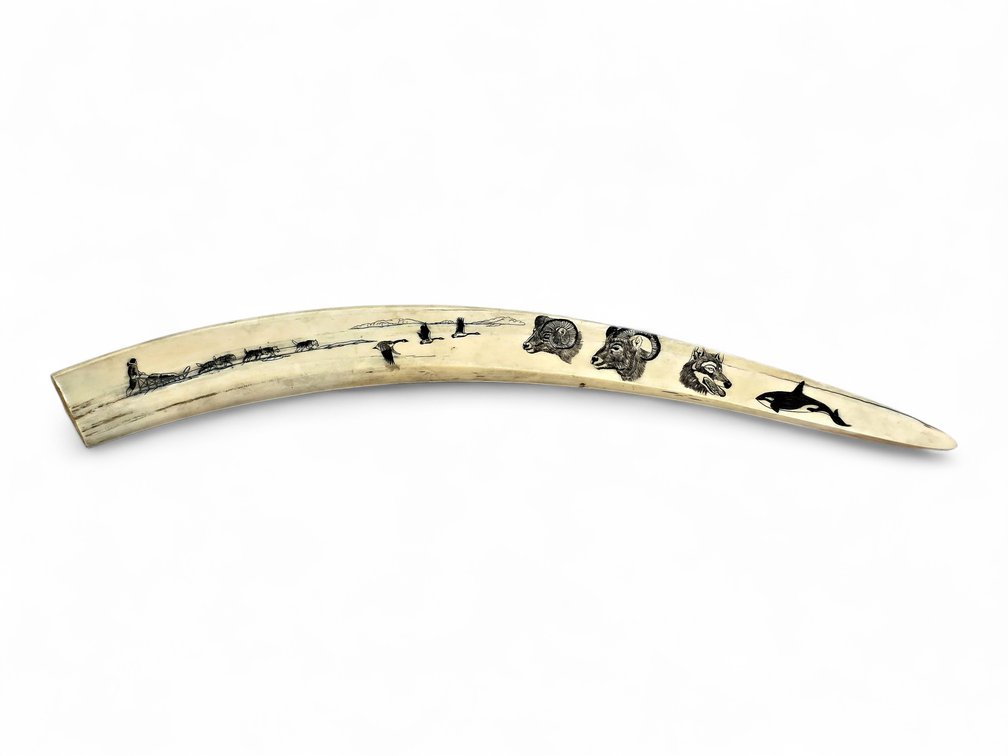 Robert Pootoogooluk Signed Scrimshaw Walrus Tusk with Dog Team & Wildlife Scenes