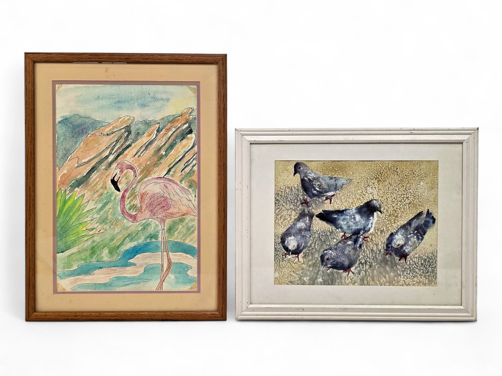 Framed Flamingo Watercolor & Five-Pigeon Print
