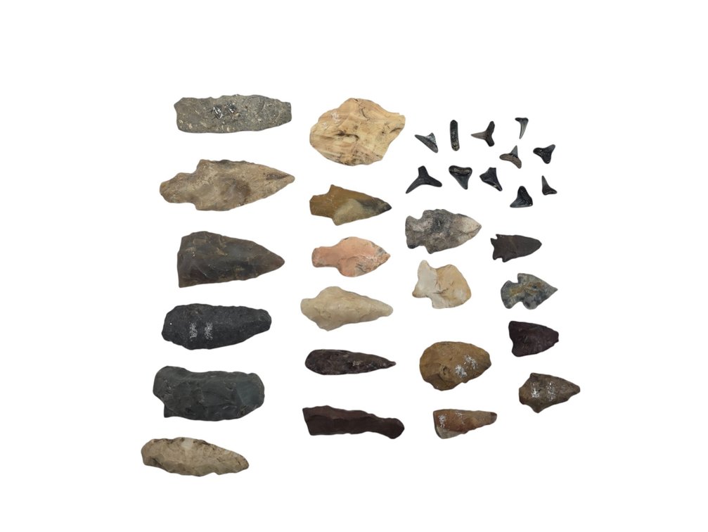 Knapped Stone Points & Tools, Fossil Shark Teeth & Specimens