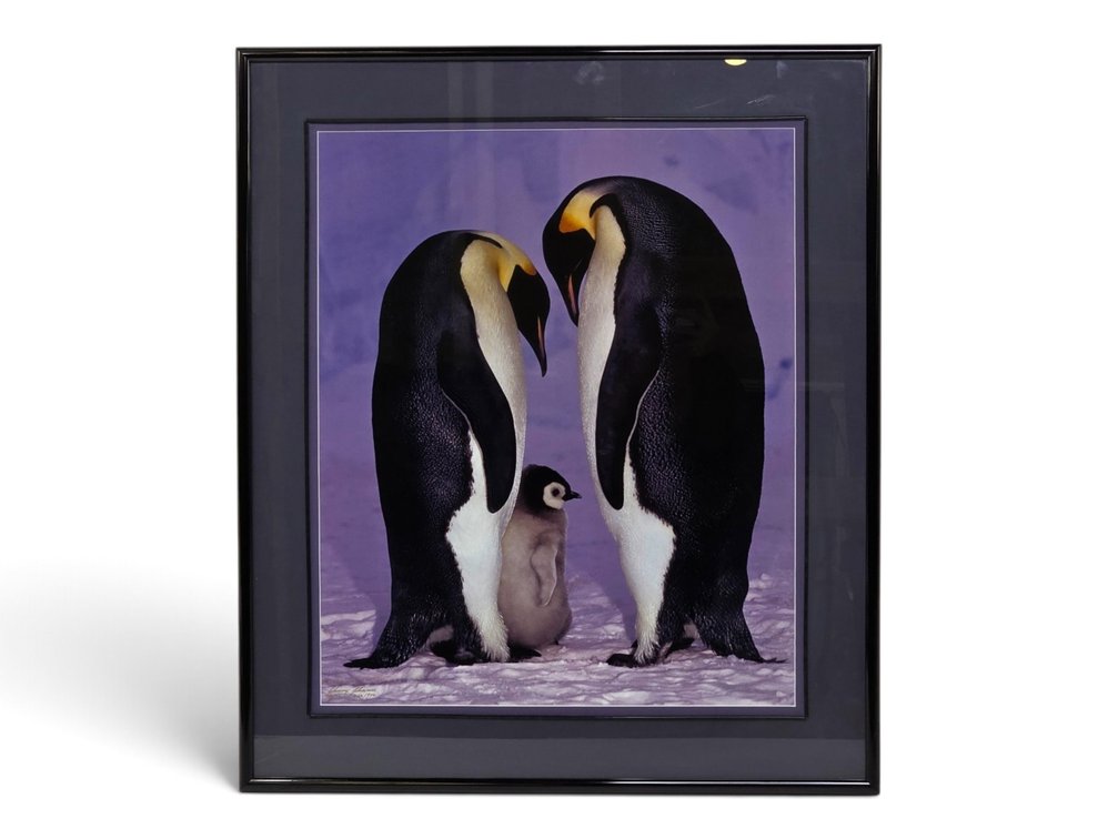 Johnny Johnson "Circle of Life" Photograph