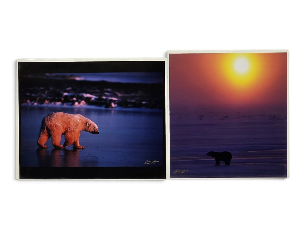 Johnny Johnson "Polar Bear at Sunset" & "Lone Polar Bear at Sunset" Artist's Proof Photographs