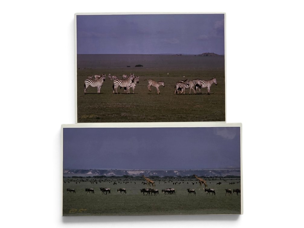 Johnny Johnson "Burchell's Zebra" & African Wildlife Artist's Proof Photographs