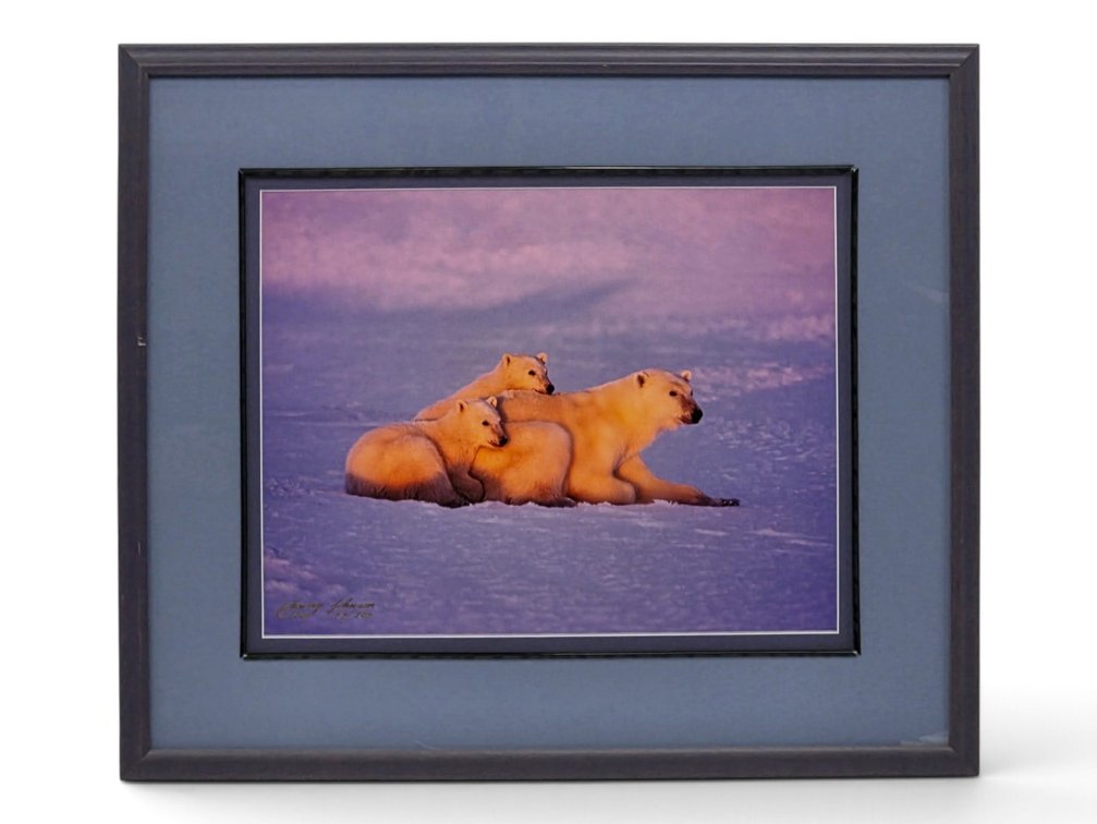 Johnny Johnson "Polar Dawn" Photograph