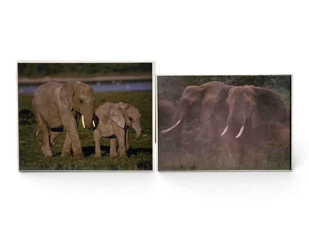 Johnny Johnson "African Elephants Dusting" & "African Elephants" Artist's Proof Photographs