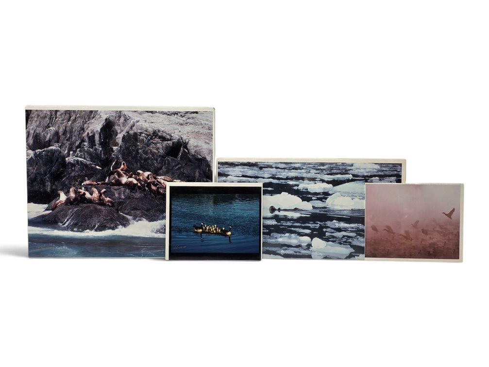 4 Johnny Johnson Artist's Proofs: "Steller Sea Lions", "Sea Otter", "Mallards in the Mist"