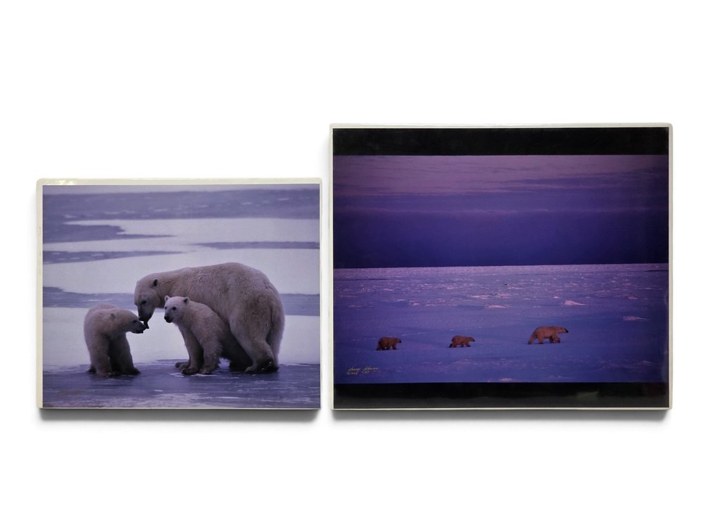 Johnny Johnson "Polar Traveling" & "Polar Bear Mother w/ Twin Cubs" Artist's Proof Photographs