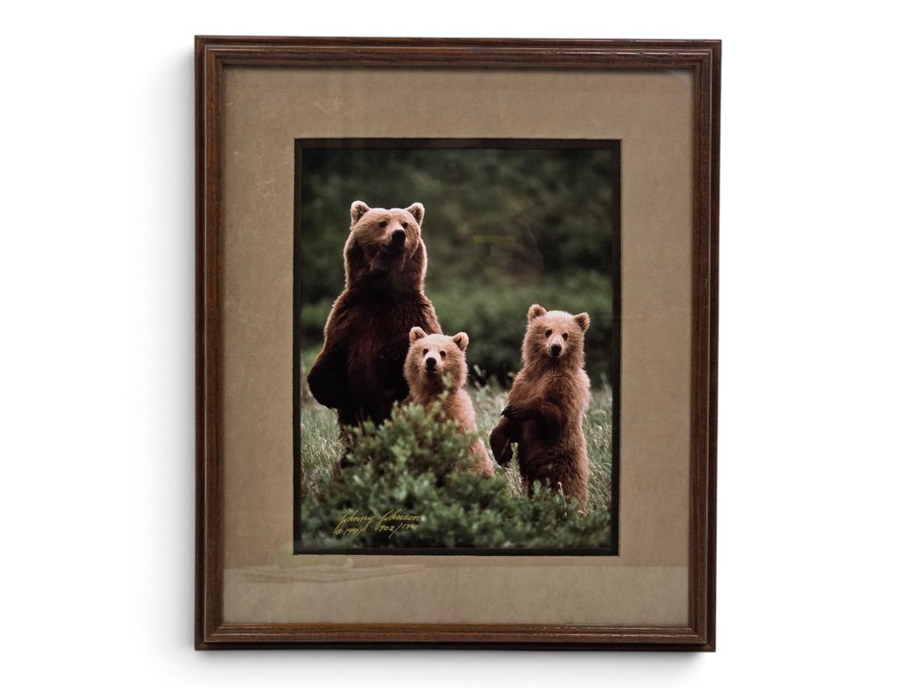 Johnny Johnson "Sudden Encounter" Photograph
