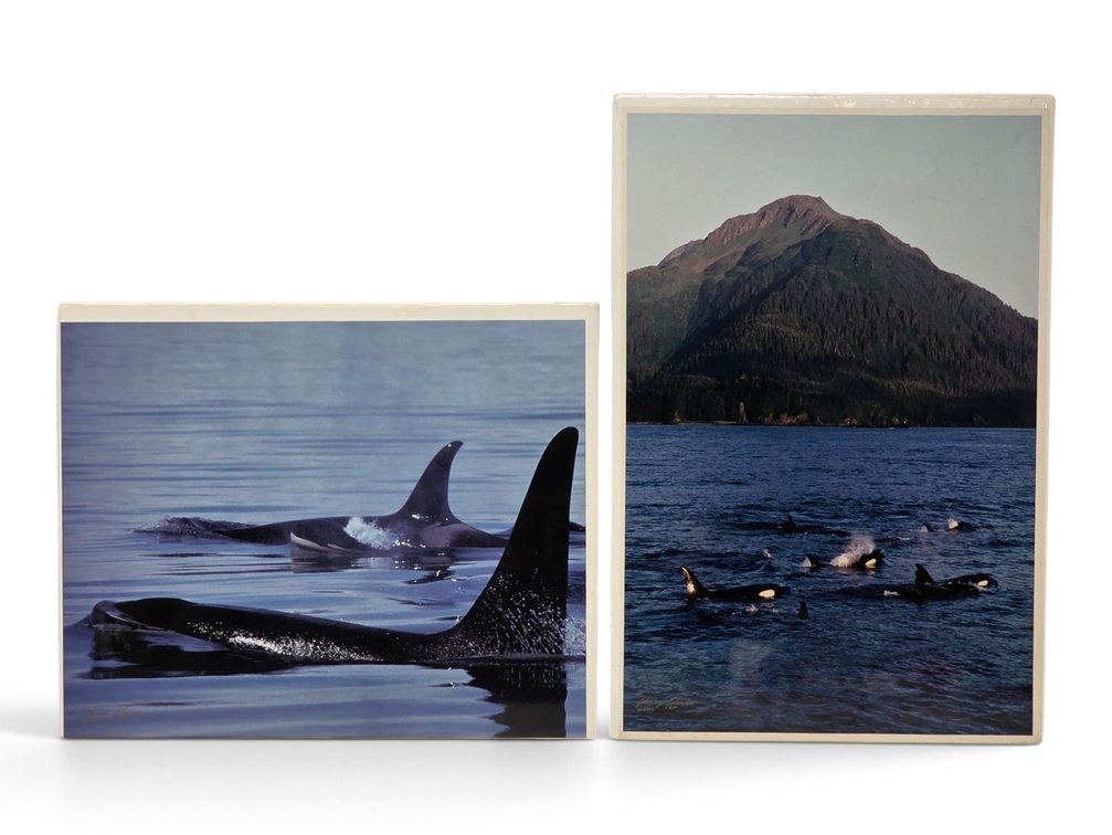 Johnny Johnson "Orca Whale Family" & "Orca Whale Pod" Artist's Proof Photographs