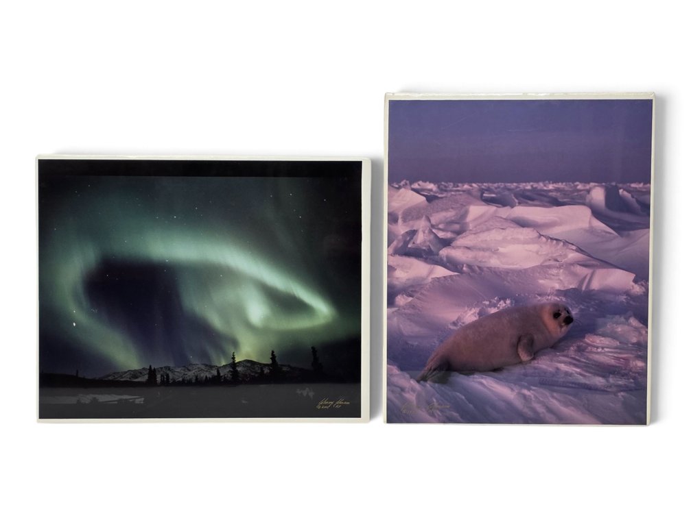 Johnny Johnson "Night Goddess" & Harp Seal Artist's Proof Photographs