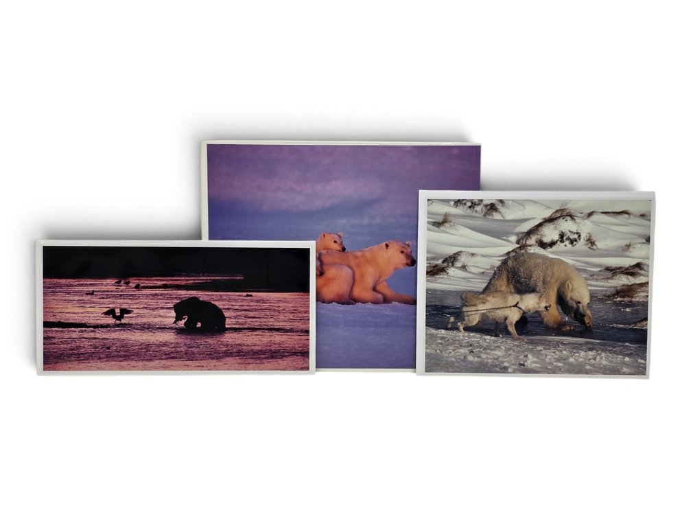 Johnny Johnson "Polar Dawn", "River Dance" & "Courage" Photographs