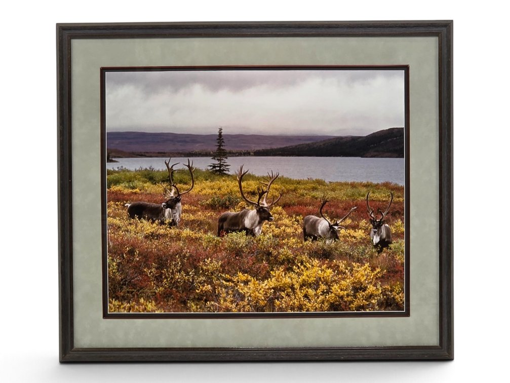 Johnny Johnson "Autumn Passage" Photograph