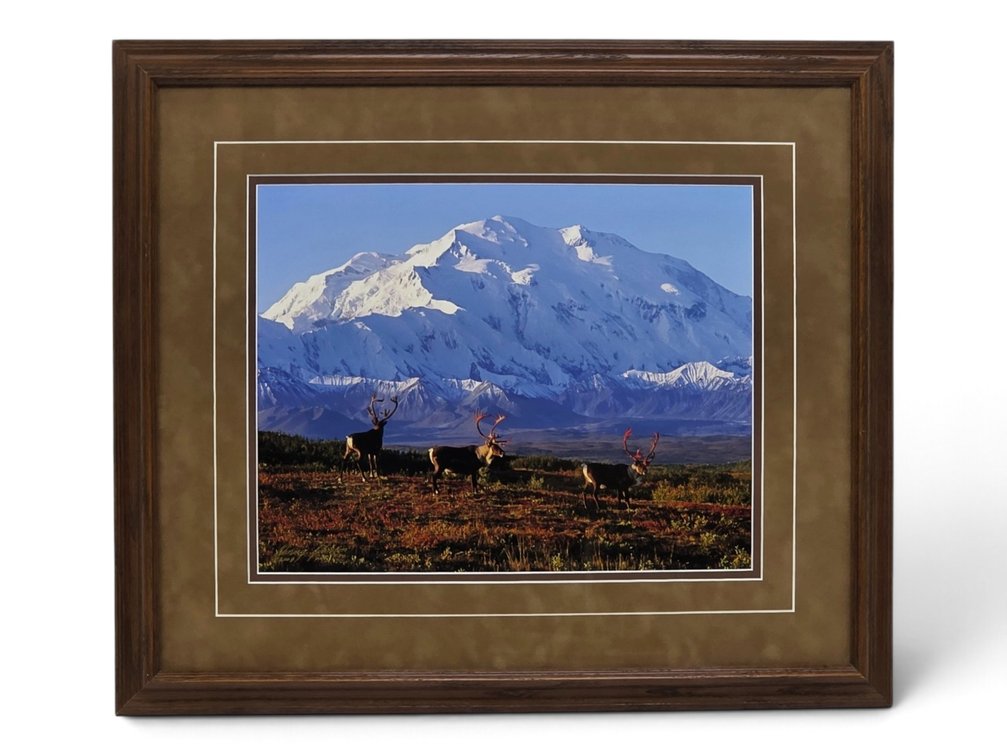 Johnny Johnson "Denali Greets the Dawn" Photograph