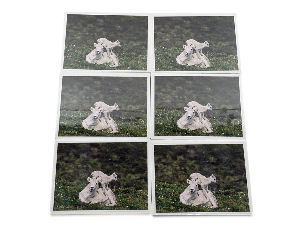 Six Johnny Johnson "Lamb Chop" Signed Photographs