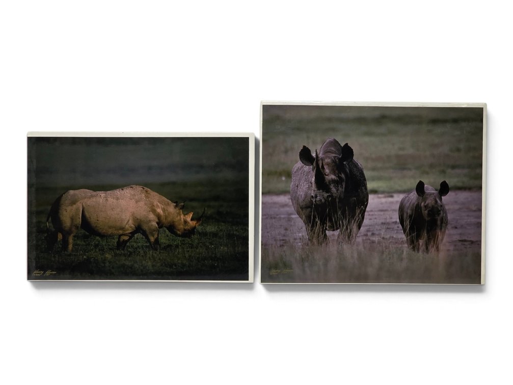 Johnny Johnson "Black Rhinoceros" & "Rhinoceros Mother With Young" Artist's Proof Photographs