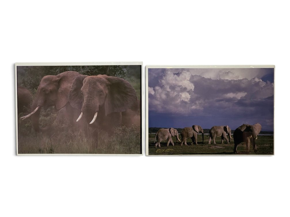 Johnny Johnson "African Elephants Dusting" & "African Elephants" Artist's Proof Photographs