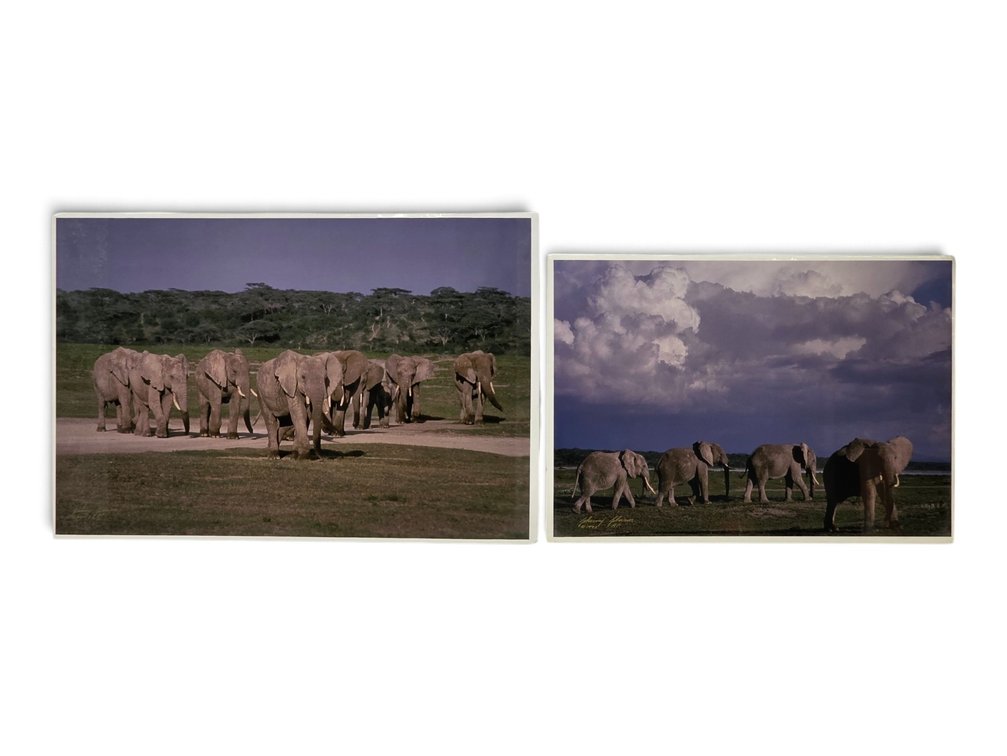 Johnny Johnson "Elephant Herd" & "African Elephants" Artist's Proof Photographs