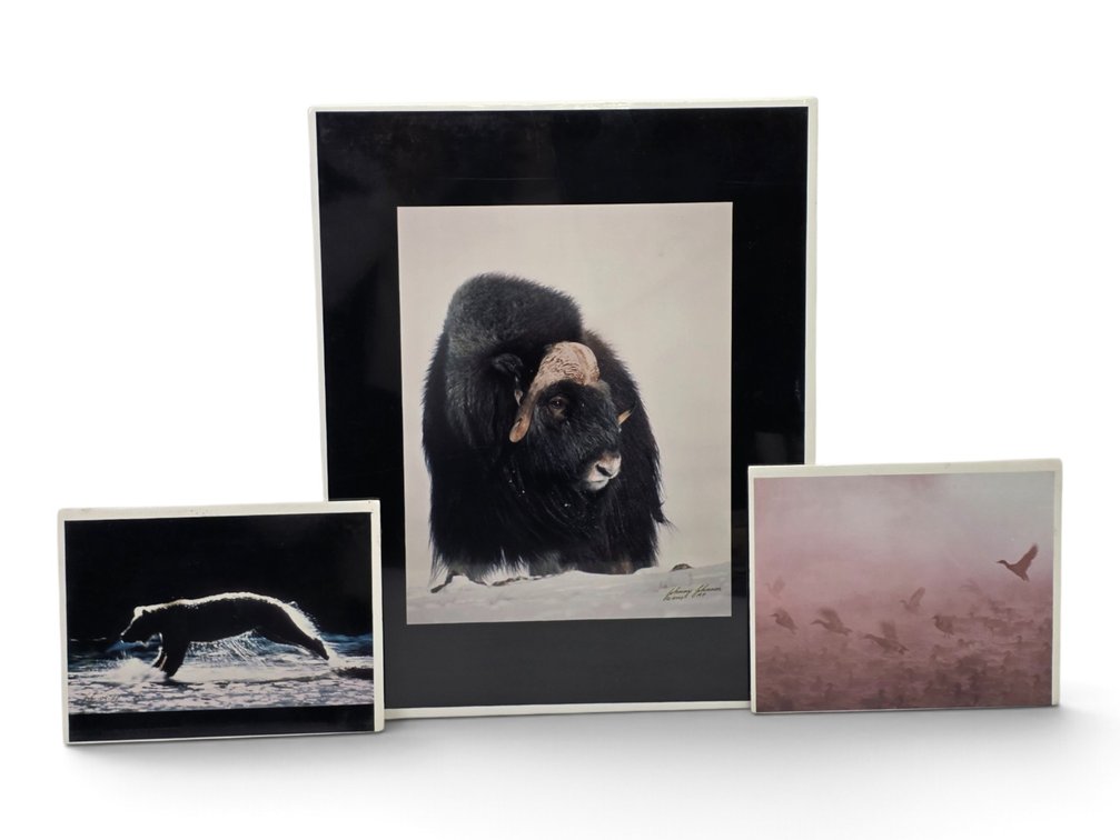 Johnny Johnson "Musk Oxen", "Mallards in the Mist" & Bear Artist's Proof Photographs