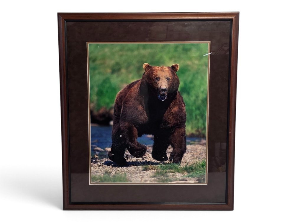 Johnny Johnson "In Harm's Way" Photograph