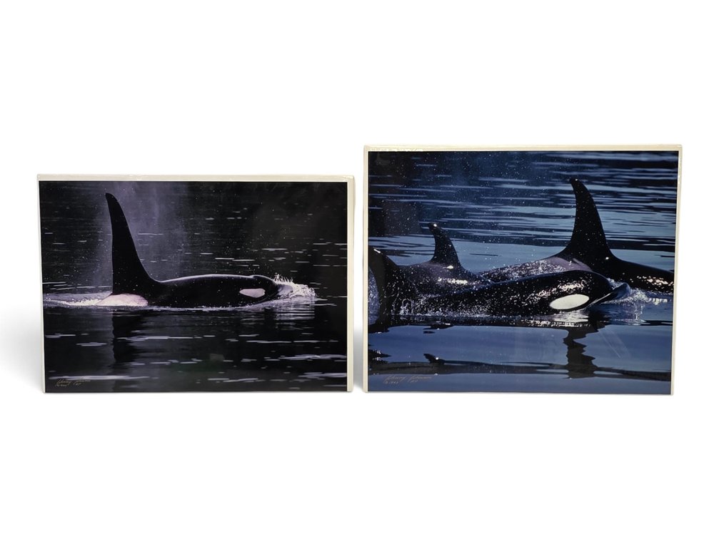 Johnny Johnson "Killer Whale" & Orcas Artist's Proof Photographs