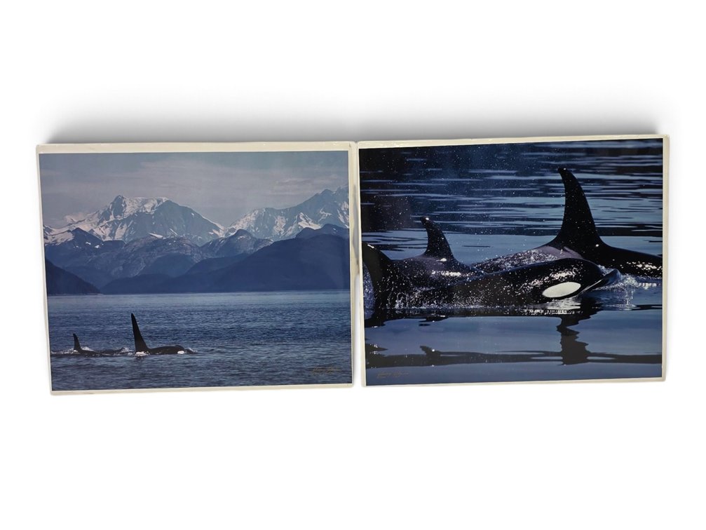 Johnny Johnson "Orca Whales" & Orcas Artist's Proof Photographs