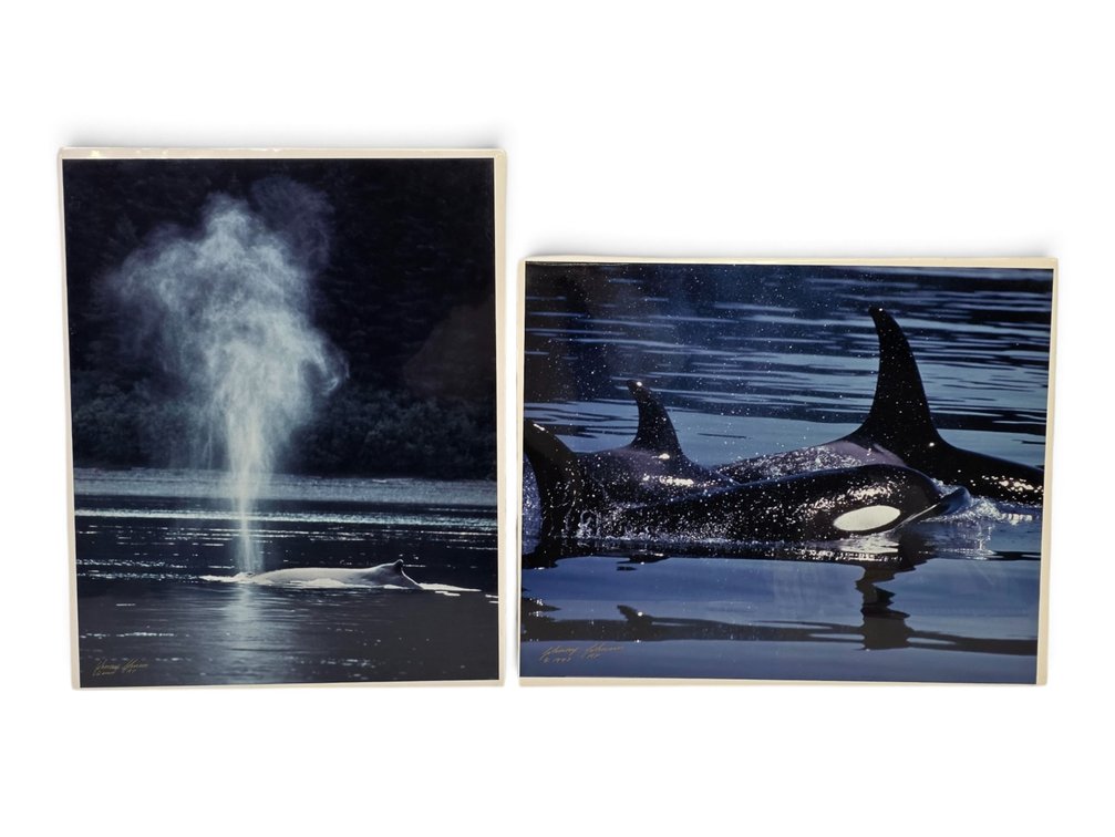 Johnny Johnson "Humpback Whale" & Orcas Artist's Proof Photographs