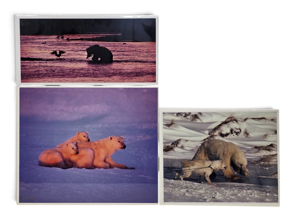 Johnny Johnson "Polar Dawn", "River Dance" & "Courage" Photographs